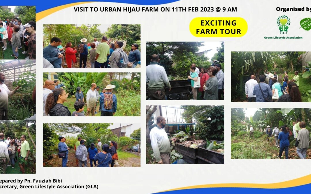 Urban Hijau Farm Visit